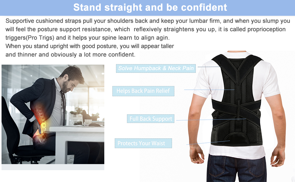 Selbite Back Brace Posture Corrector – ThriftyKing